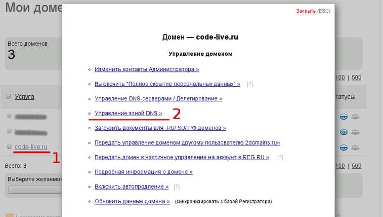 Как настроить DNS и привязать домен к IP